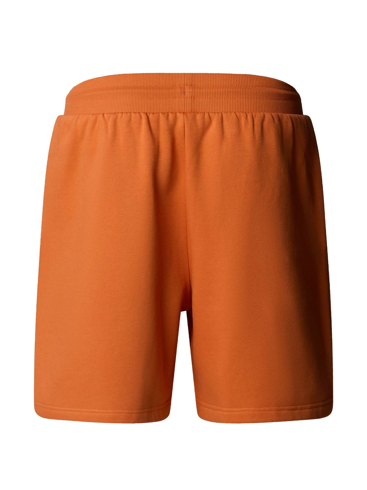 THE NORTH FACE Къси панталони M BOX NSE REGULAR SHORT