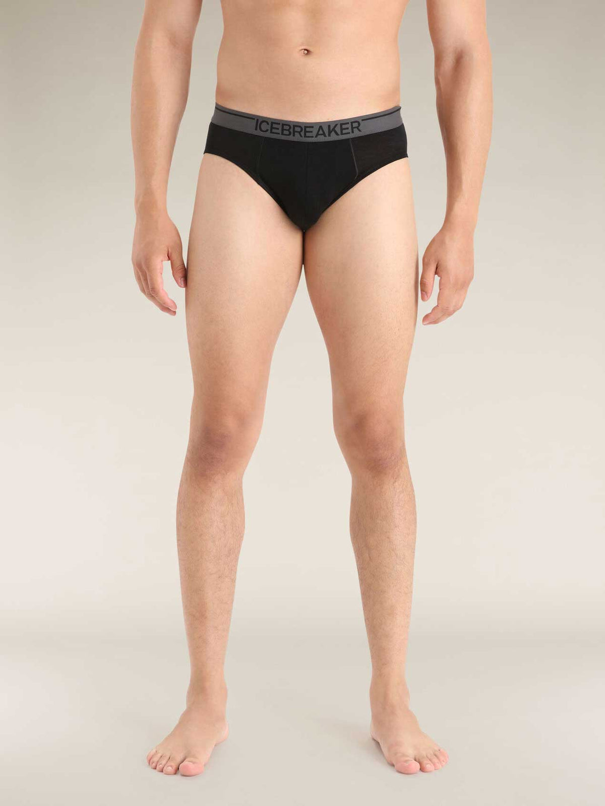 ICEBREAKER Бельо M Anatomica Briefs